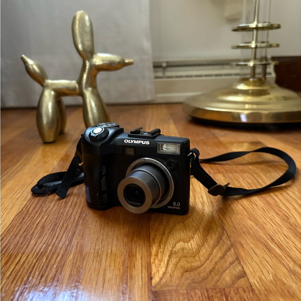 Olympus SP-350 Black Digital Camera